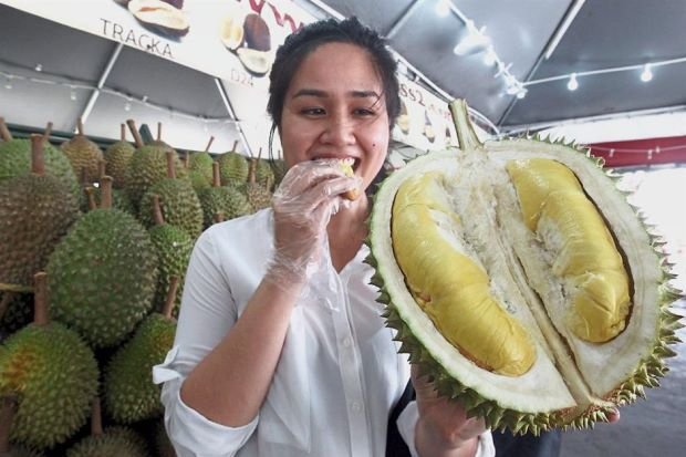 Tasting musang king.JPG