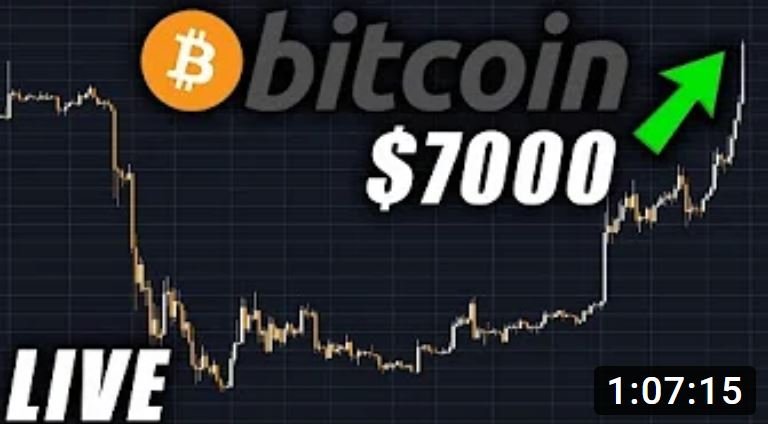 Bitcoin $7800 - $8000.JPG