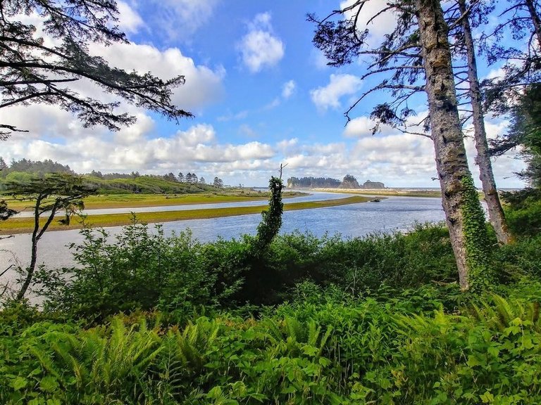 The HOH river feeding into the Pacific. Olympic Peninsula Washington..jpg