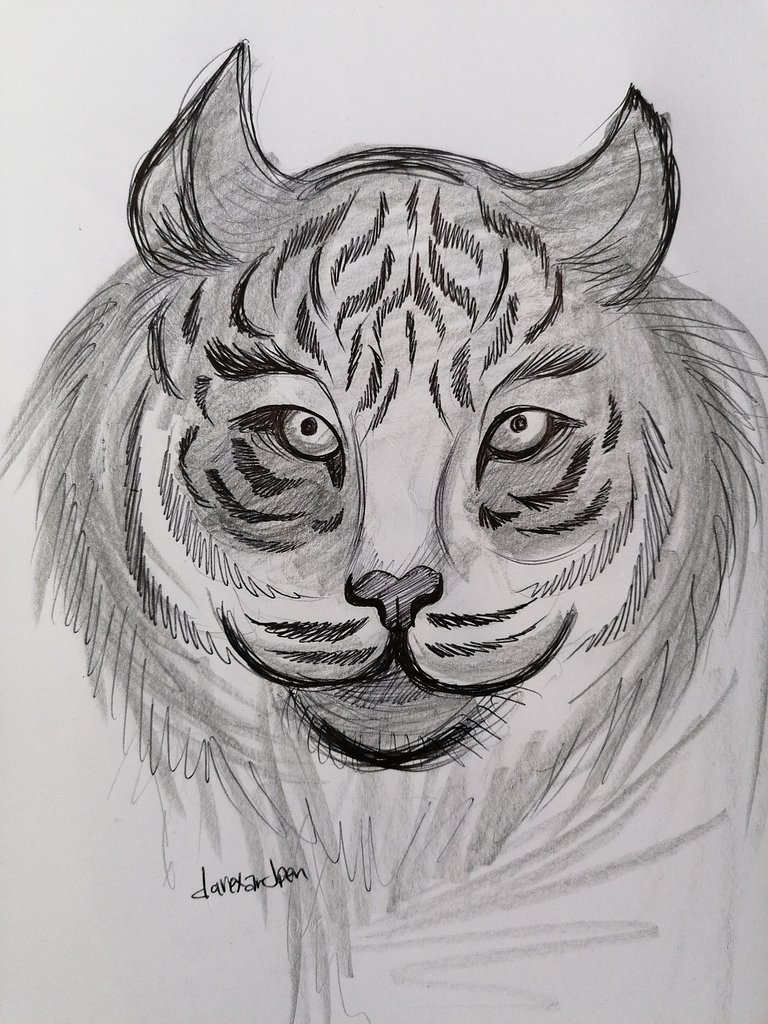 tiger pen (10).jpg