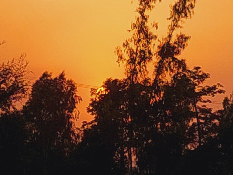20220506_184233.jpg