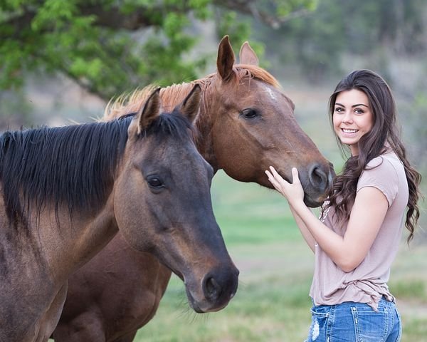 horses-1996285__480.jpg