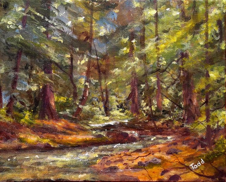 forest-creek-camping-sketch.jpg