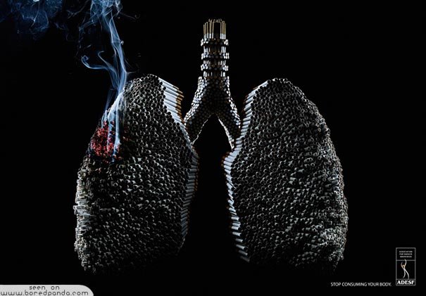 Clever-and-Creative-Antismoking-ads-adesf-lungs.jpg