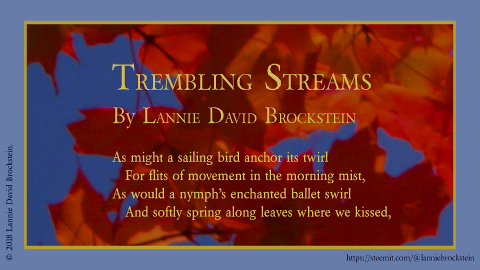 Video - Lannie Brockstein - Trembling Streams - 06 - snap photo - 02.png