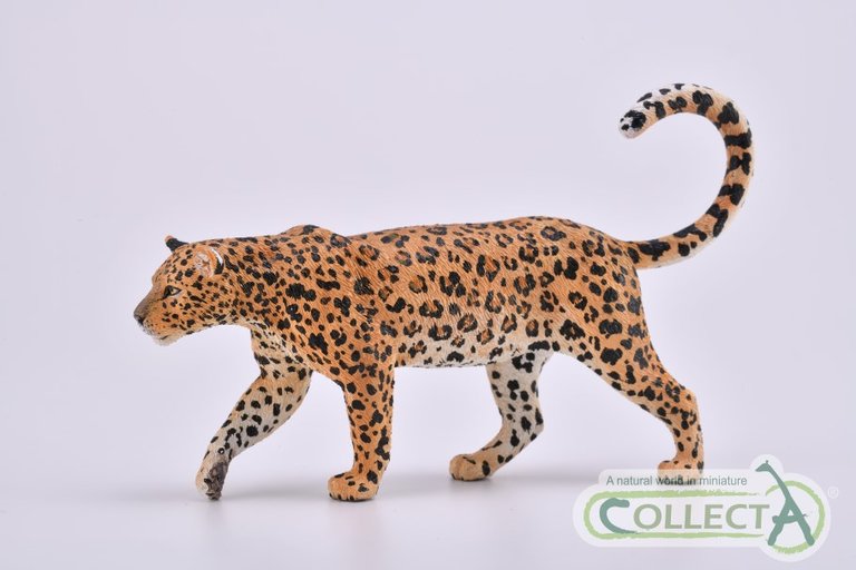 African Leopard (88866).jpg