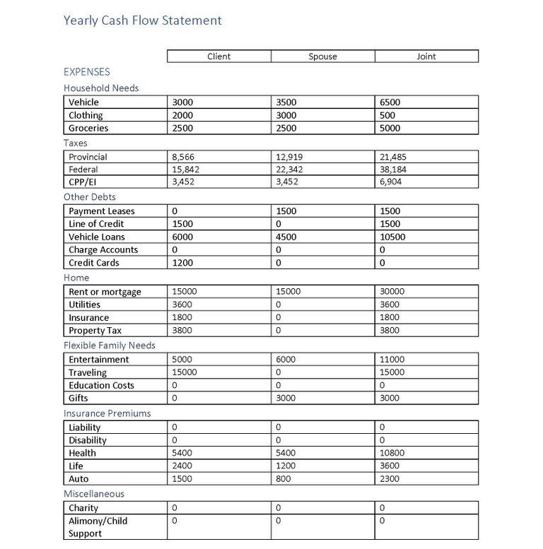 Cash Flow Statement Light Torch _Page_1.jpg