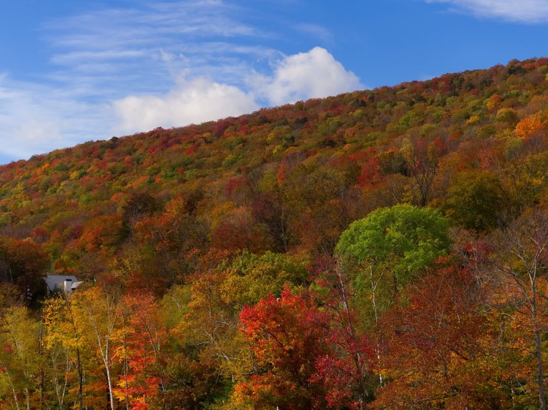 jessicaoutside.com-PA101591-autumn-fall-mountain-foliage-vermont-1680-85.jpg