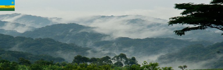 bwindi-national-parkyea.jpg