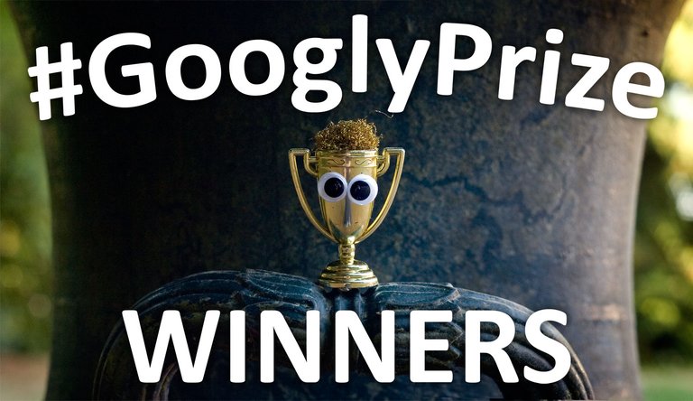 GooglyPrize Winners 60 Title Image