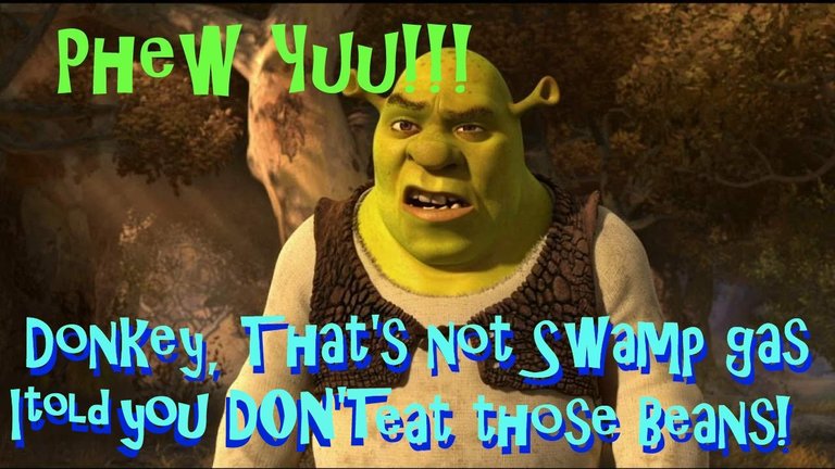 shrekdonkey.jpg