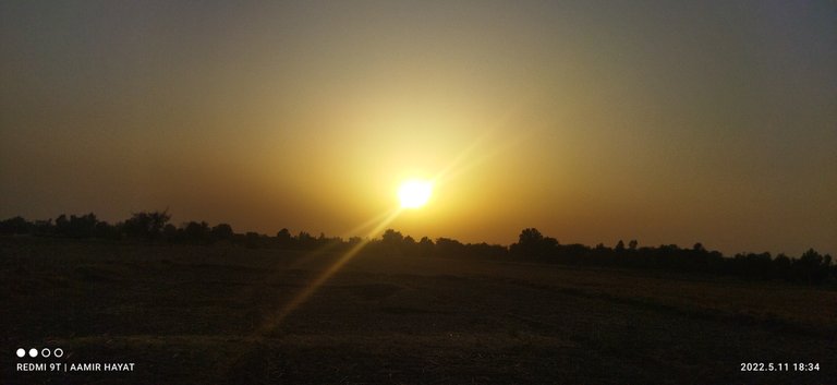 IMG_20220511_183417.jpg