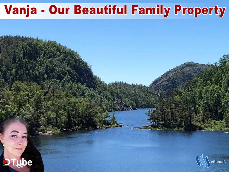 @vanjaavedal, family, lake, forest, property, dtube, steemit 1.jpg