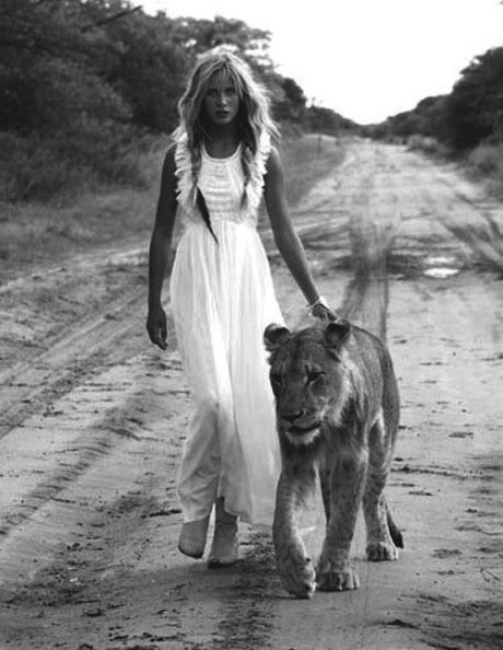 wp-content-uploads-2014-04-lioness.jpg