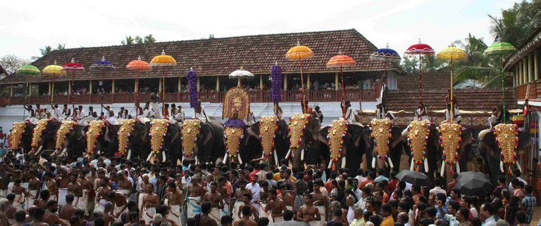 Thrippunithura-Elephants8_crop.jpg