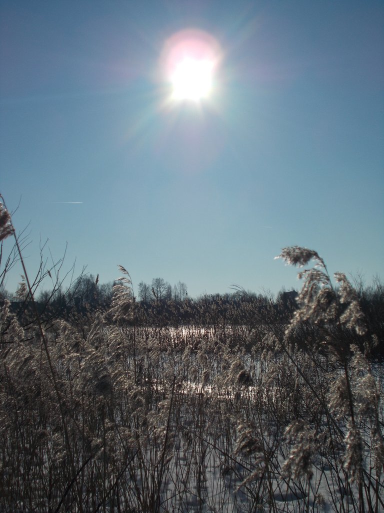 DSCN0577.JPG