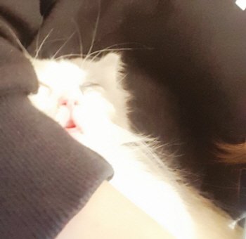 KakaoTalk_20180529_141000992.jpg