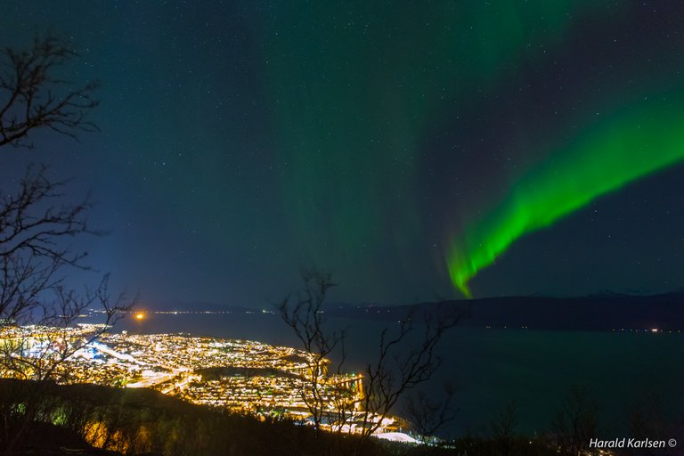 Nordlys Narvik-1.jpg