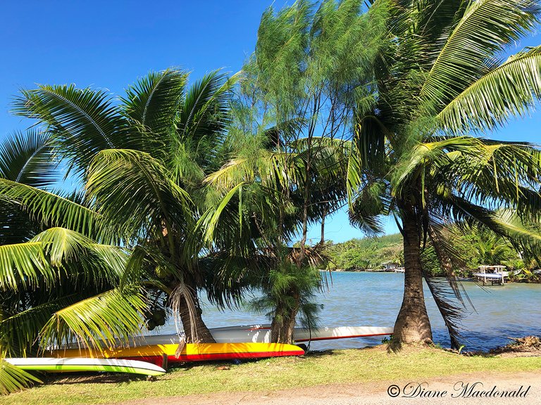 kayaks parea huahine.jpg