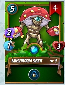 MUSHROOM SEER.jpg