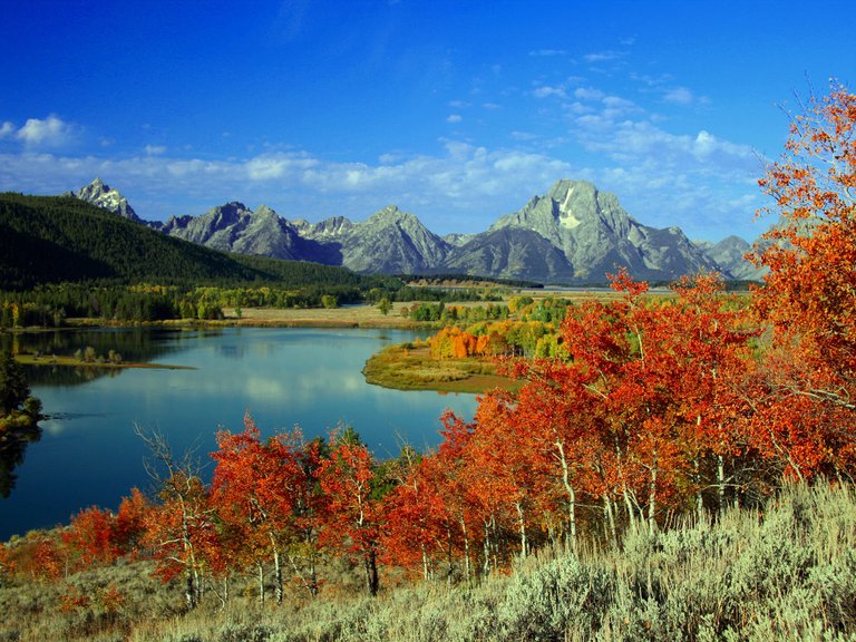 Grand Teton National Park Wallpapers (8).jpg