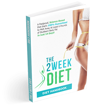 Diet-Handbook-small.png