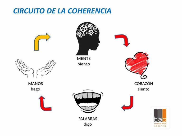 circuito-de-la-coherencia.jpg