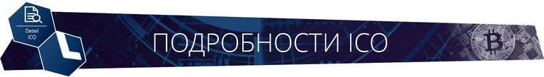 Подробности ICO.jpg