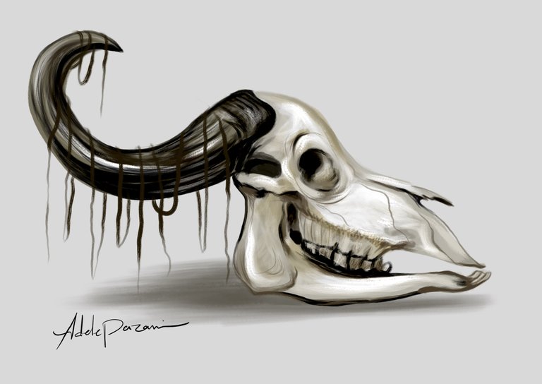 skull111.jpg