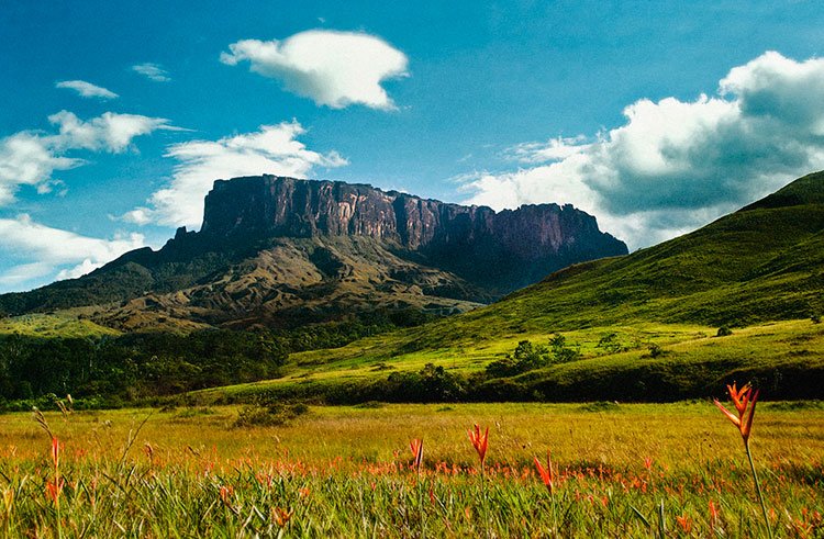 Parques-nacionales-de-Venezuela-Canaima.jpg