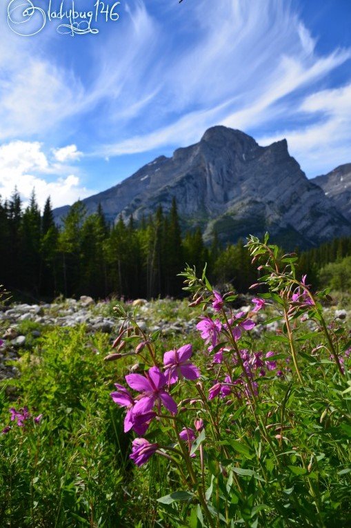 kananaskis2.jpg