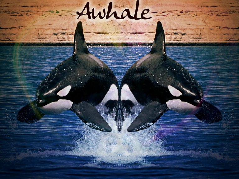 Awhale.jpg