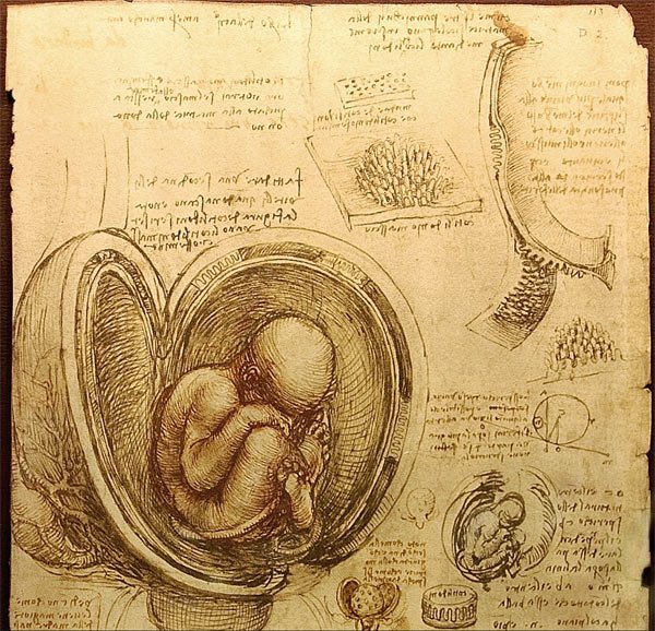 leonardo-da-vinci-pregnant.jpg