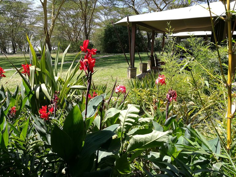 Maasai National Reserve45.jpg