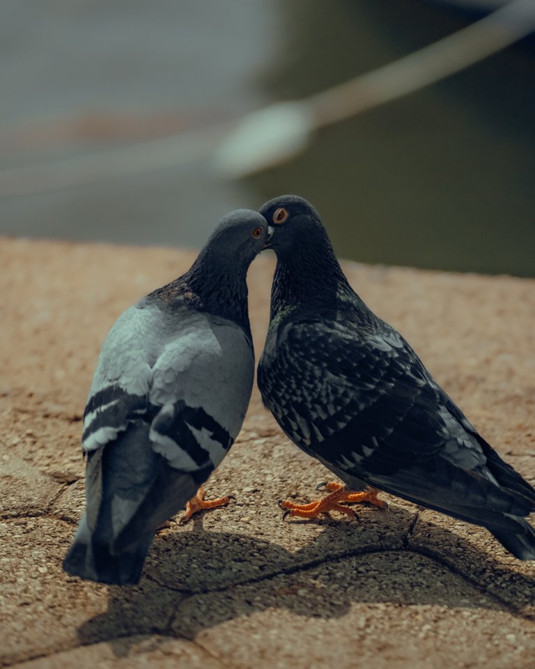 pexels-media-17457976-1691071484688.jpeg