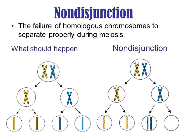 Nondisjunction+Nondisjunction.jpg