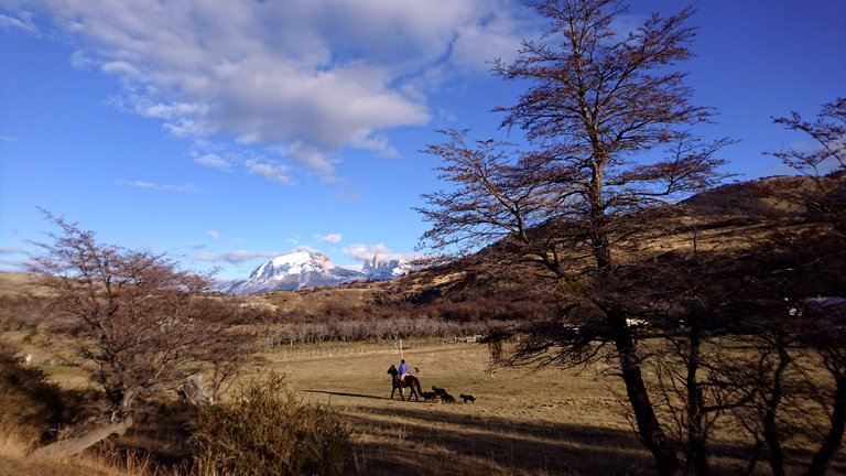 Gaucho heading out for the day.JPG