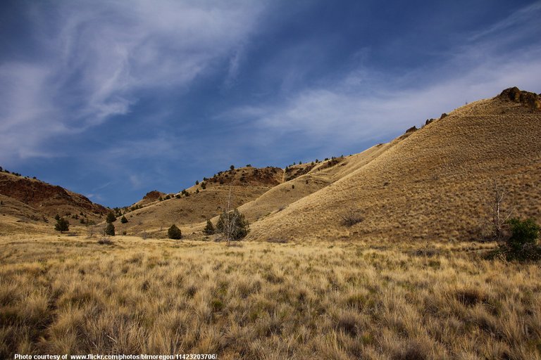 DryGrasslands-001-090718.jpg