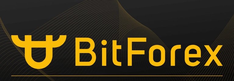 bitforex1.jpeg