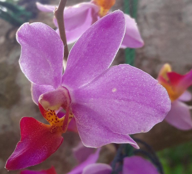 20180828_091656.jpg