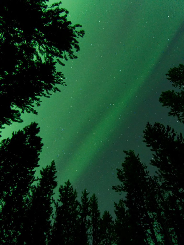 P5284331-kananaskis-northern-lights-above-campground-1200.jpg