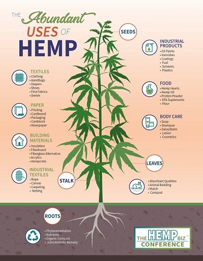 Hemp Uses infograf.jpg