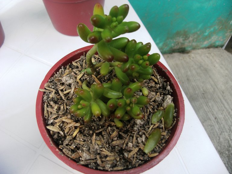 APDC0655.JPG