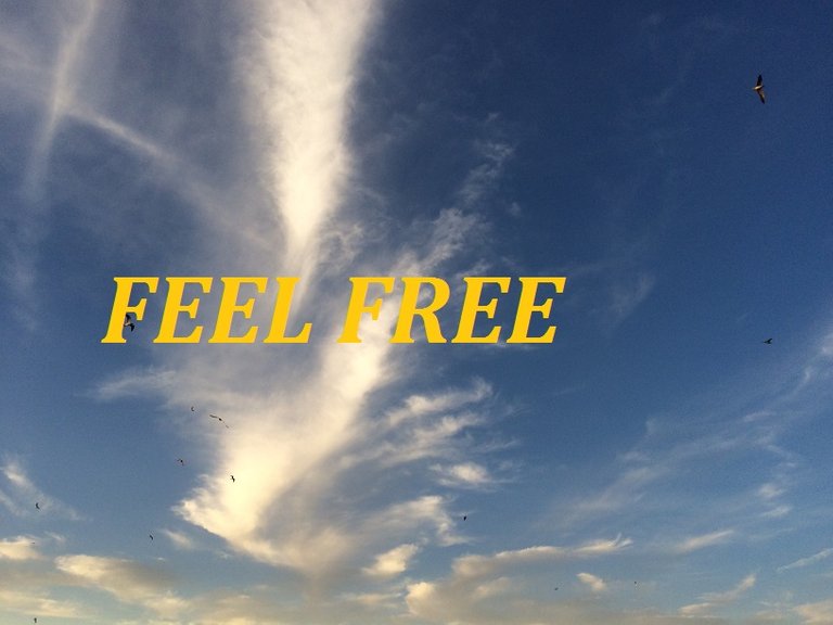 FEEL FREE.jpg