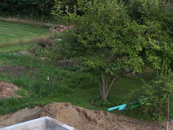 Evening over the Big garden crop August 2019.jpg