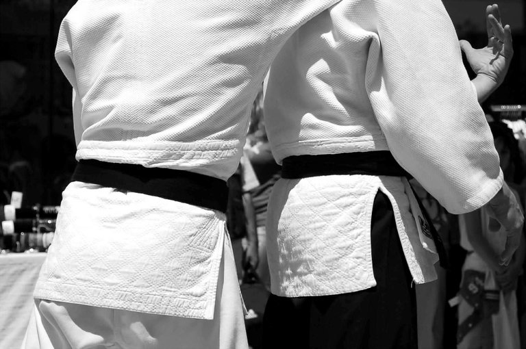 Martial Arts Aikido.jpg