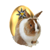 thealliance_easter_egg_hunt_steem_steemit_steempeak.png