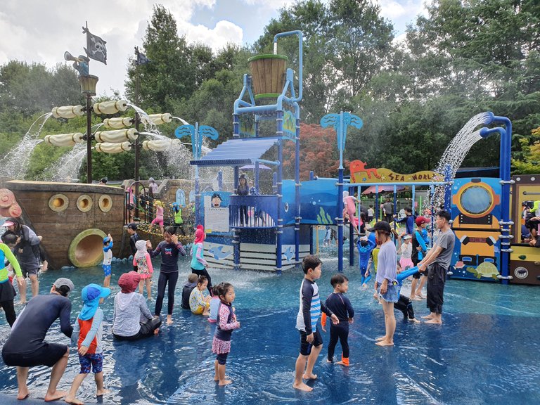 20190730_102624.jpg