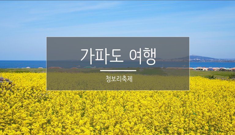 KakaoTalk_20190730_162648177.jpg