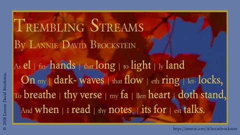 Video - Lannie Brockstein - Trembling Streams - 16 - snap photo - 01.png